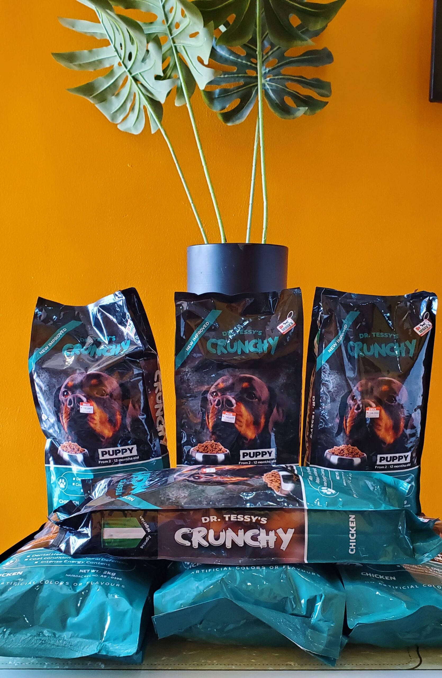 DR TESSY'S PUPPY CRUNCHY - Image 5
