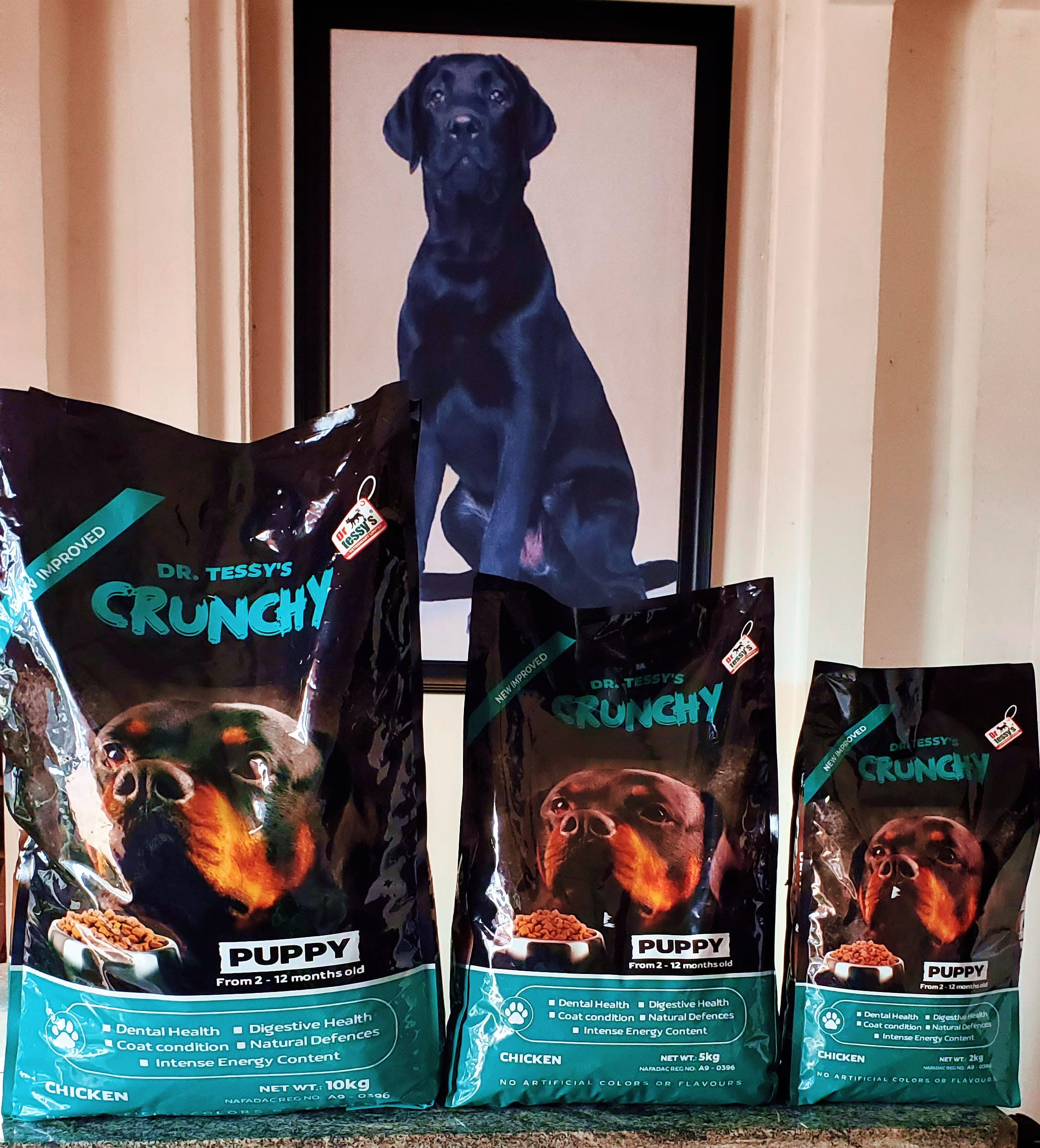 DR TESSY'S PUPPY CRUNCHY - Image 2