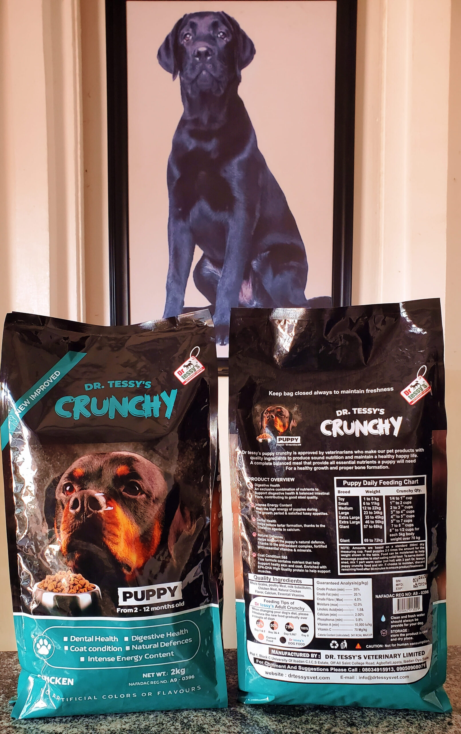 DR TESSY'S PUPPY CRUNCHY - Image 3