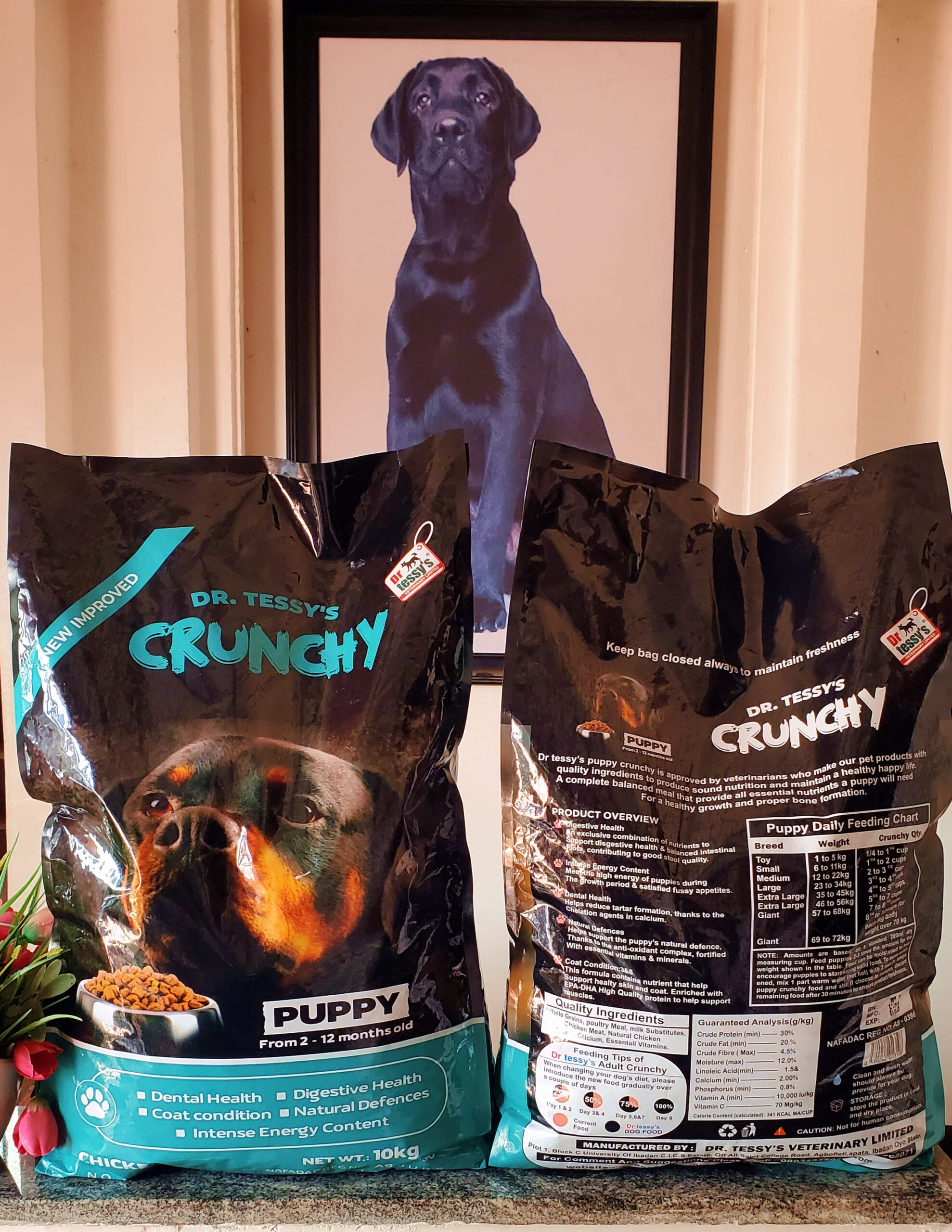 DR TESSY'S PUPPY CRUNCHY - Image 4